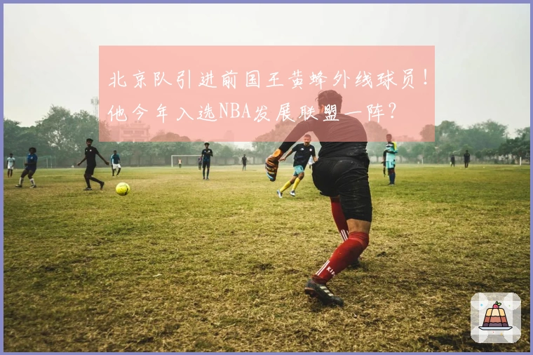 北京队引进前国王黄蜂外线球员！他今年入选NBA发展联盟一阵？